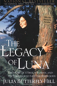 The legacy of luna